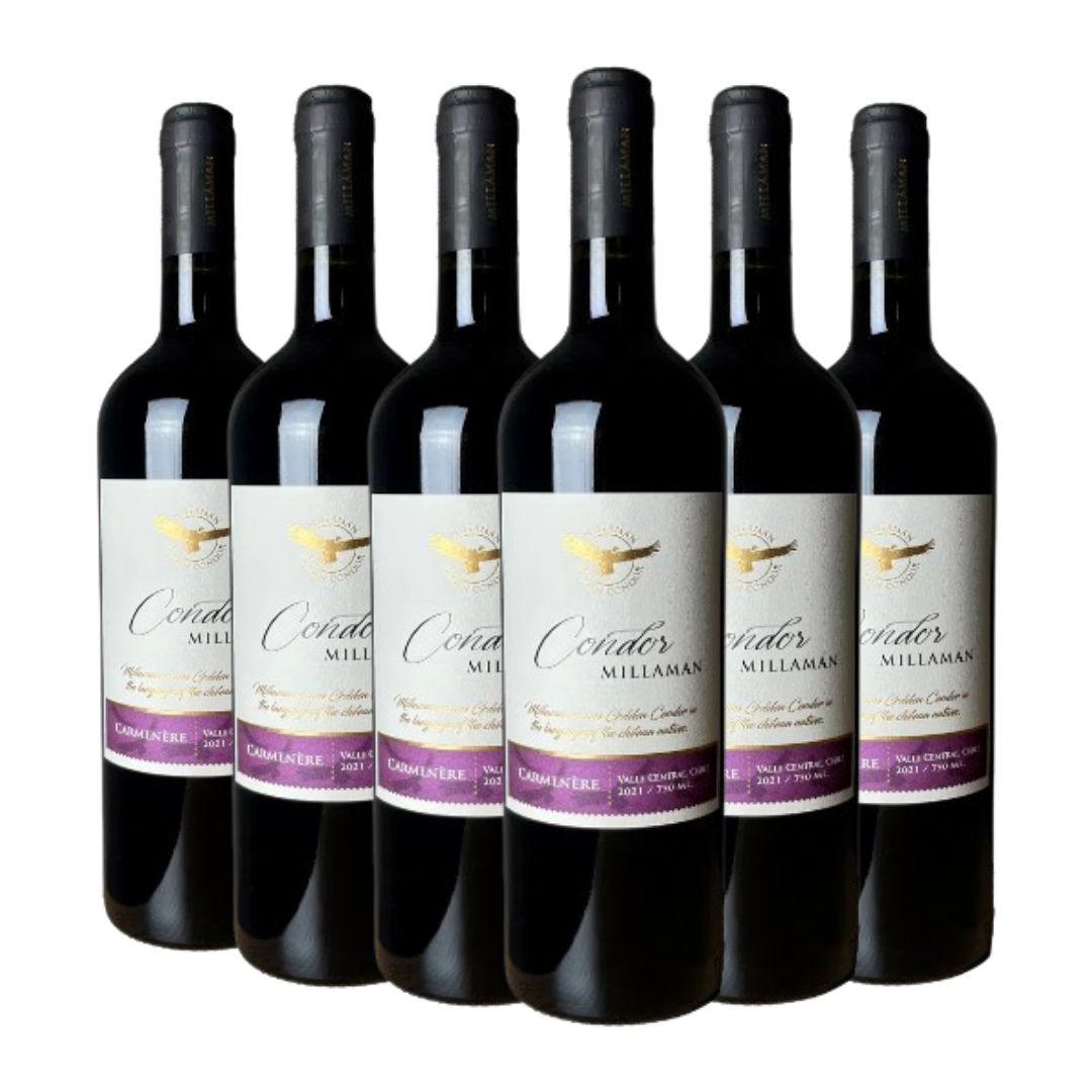 Kit Vinho Chileno Condor Caménère Tinto 6 garrafas