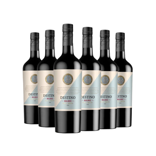 Vinho Destino Malbec Argentino kit 6 garrafas