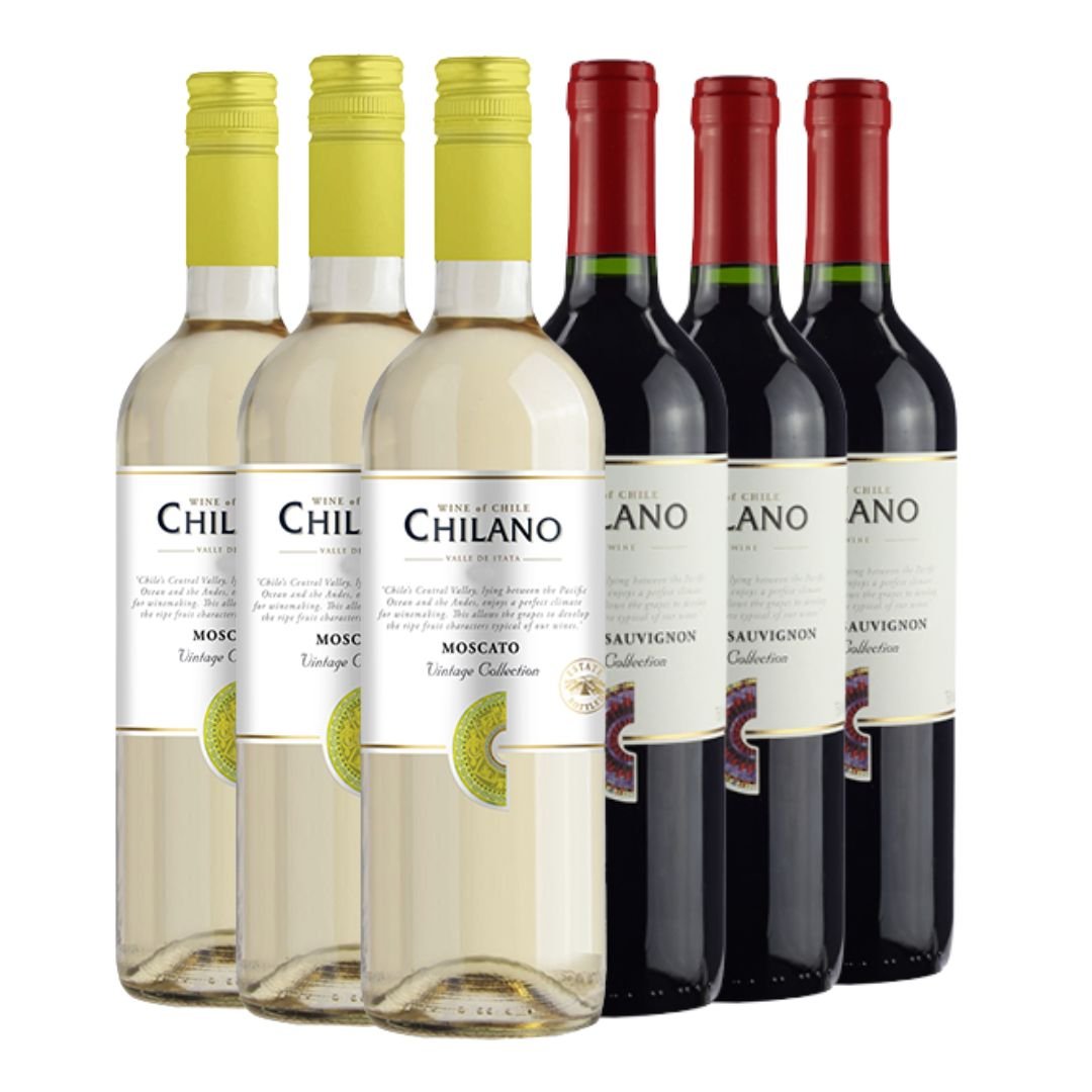 Vinho Chilano - Kit vinhos