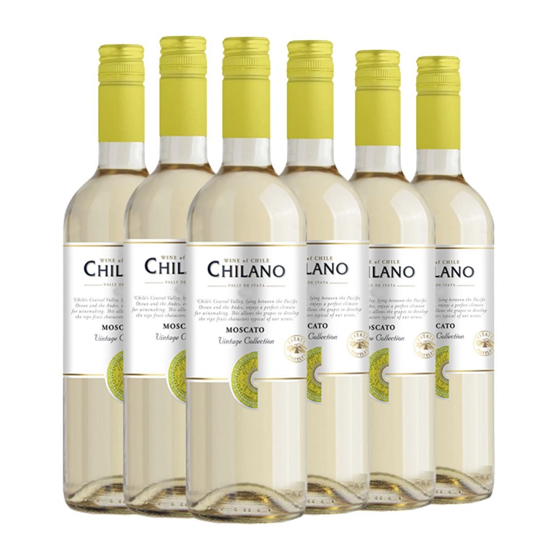 vinho chilano - vinho suabe branco