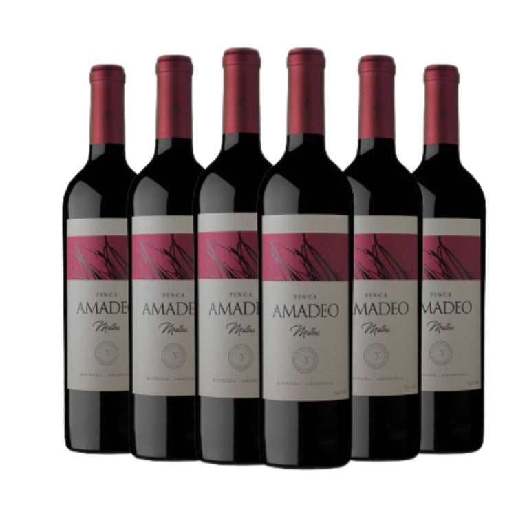 Vinho Argentino Malbec Barato - Pinott Wine