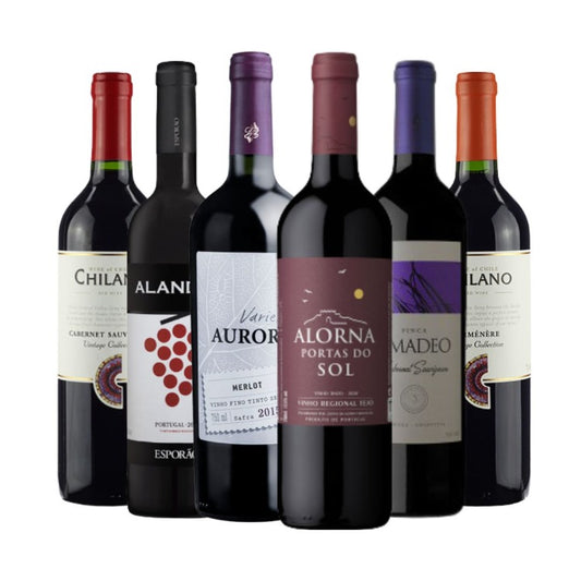 Kit Vinhos baratos - Vinhos Tintos _ Piott Wine