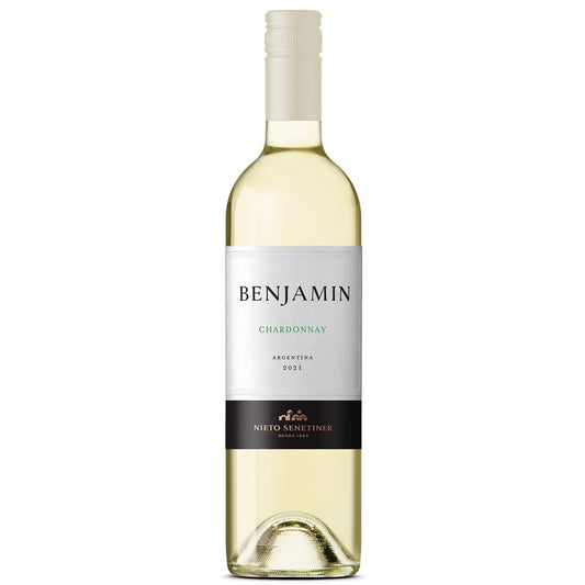 Vinho Benjamin Sauvignon Blanc Argentino 750 ml - Vihos Argentinos
