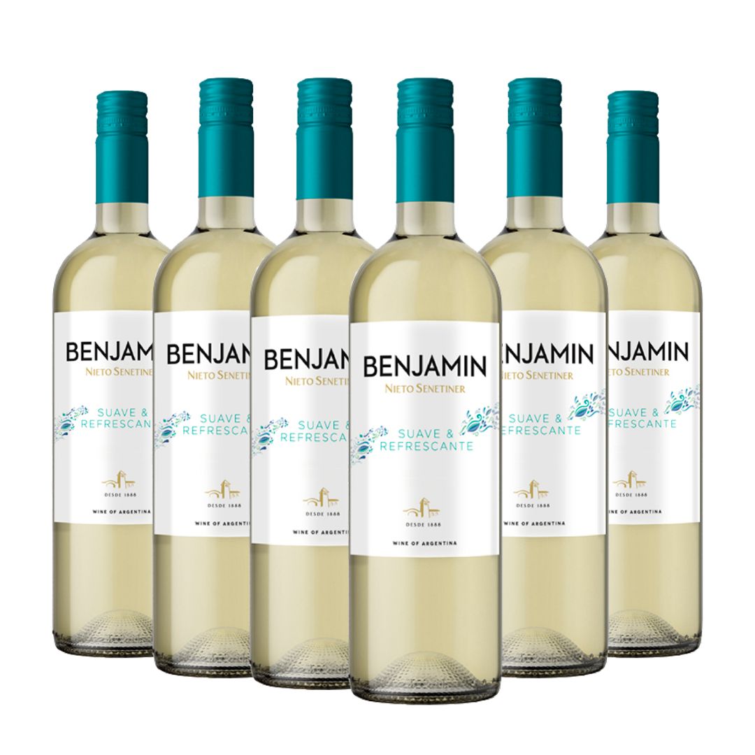 Vinho Benjamin Suave Refrescante- Vinho branco Argentino