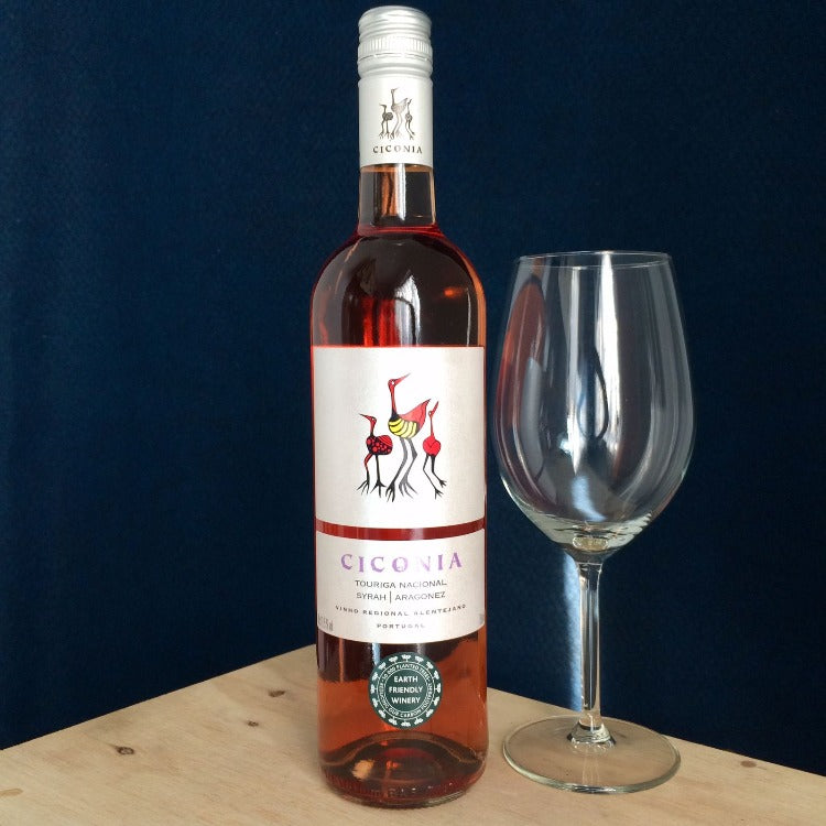 Vinho Ciconia Rosé - Pinott Wine