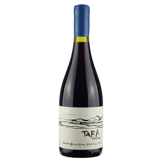 Vinho Ventisquero Tara Pinot Noir 750 ml - Vinho Chileno Tinto bom