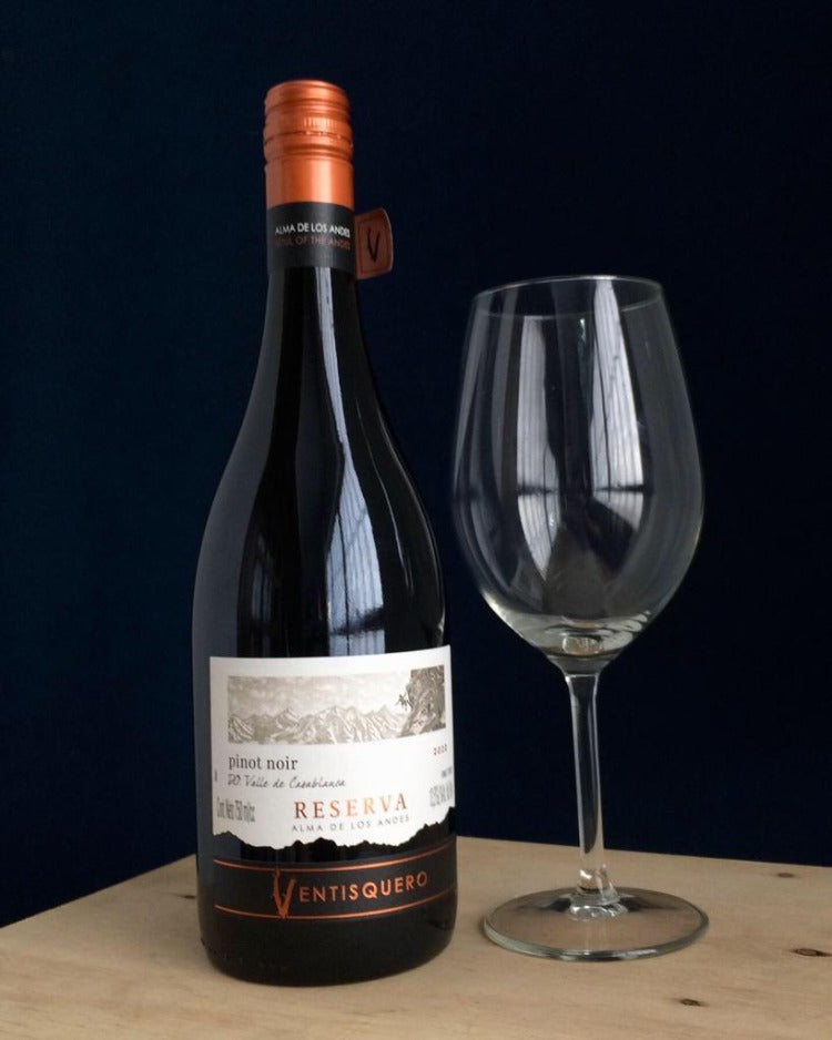 Vinho Ventisquero Pinot Noir - Pinott Wine