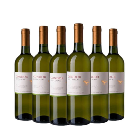 Vinho Condor Sauvignon Blanc Chileno